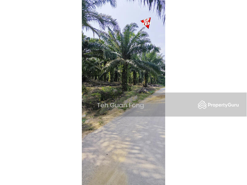 Residential Land for Sale in Junjong (Kedah) - Teh Guan Fong - PropertyGuru.com.my