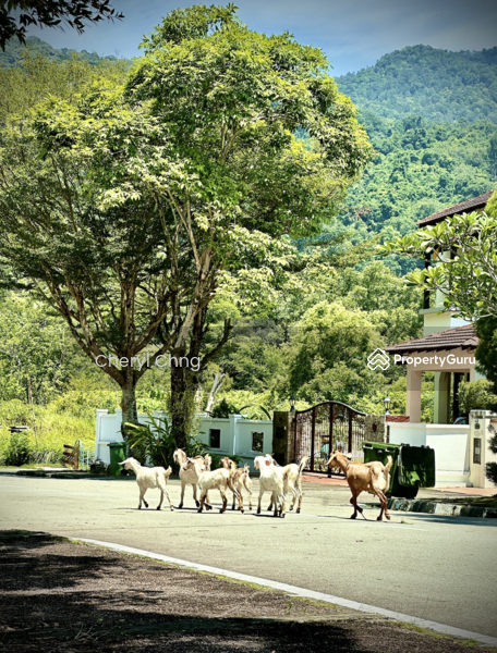 For Sale - Jalan Sungei Emas 3