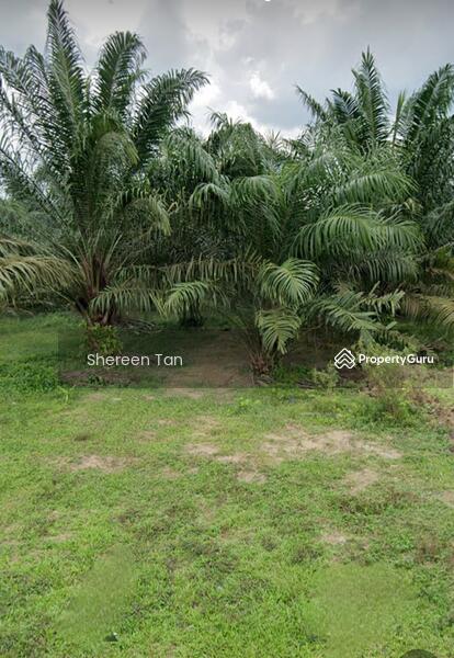 Untuk Dijual - Johor Kluang Taman Lian Seng Development Land For Sales