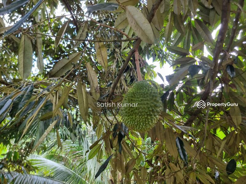 Agricultural Land for Sale in Taman Jelebu (Kuala Klawang) - Satish Kumar - PropertyGuru.com.my