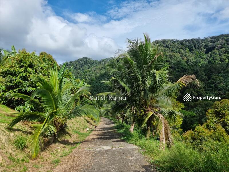 Agricultural Land for Sale in Taman Jelebu (Kuala Klawang) - Satish Kumar - PropertyGuru.com.my