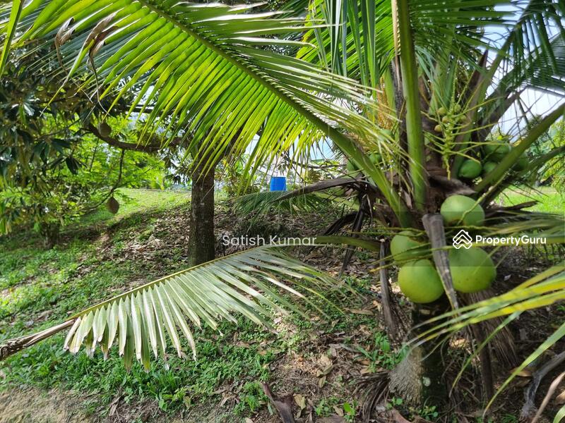Agricultural Land for Sale in Taman Jelebu (Kuala Klawang) - Satish Kumar - PropertyGuru.com.my
