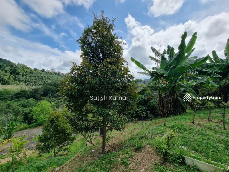 Agricultural Land for Sale in Taman Jelebu (Kuala Klawang) - Satish Kumar - PropertyGuru.com.my