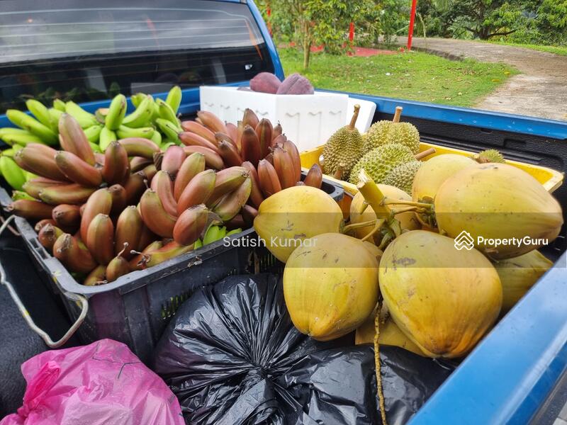 Agricultural Land for Sale in Taman Jelebu (Kuala Klawang) - Satish Kumar - PropertyGuru.com.my