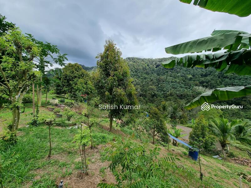 Agricultural Land for Sale in Taman Jelebu (Kuala Klawang) - Satish Kumar - PropertyGuru.com.my
