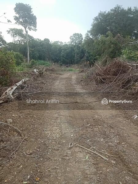 Tanah Pertanian untuk Dijual di Kampung Pogoh (Pogoh) - Shahrol Ariffin - PropertyGuru.com.my