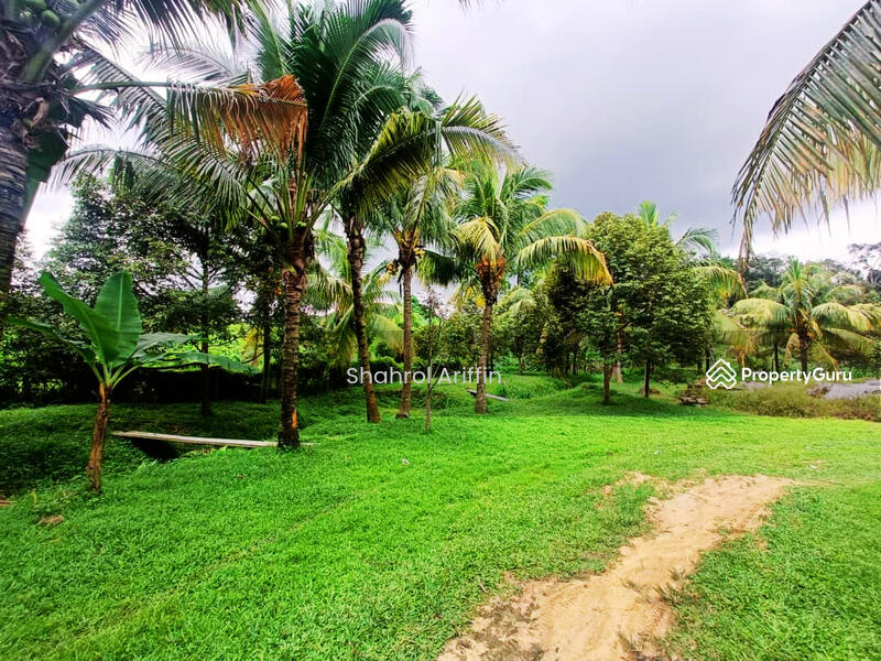 Kampung Gebok Mantin Nilai untuk Untuk Dijual - RM 890,000, Mac 2026 - PropertyGuru.com.my