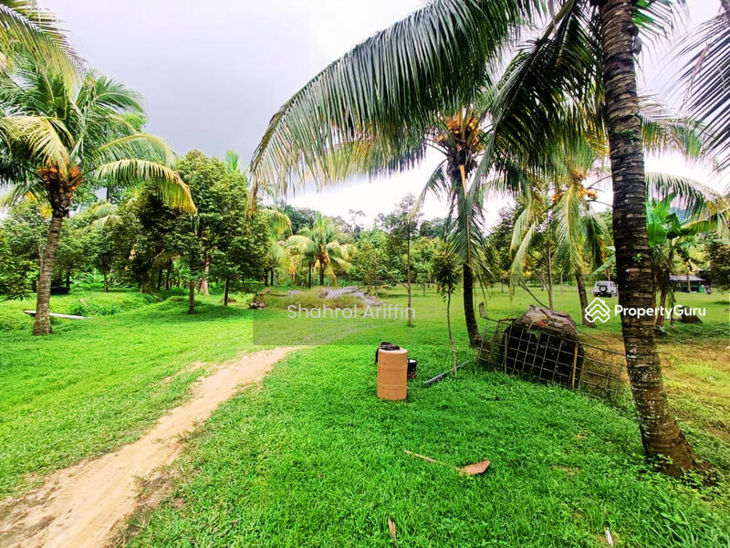 Kampung Gebok Mantin Nilai untuk Untuk Dijual - RM 890,000, Mac 2026 - PropertyGuru.com.my