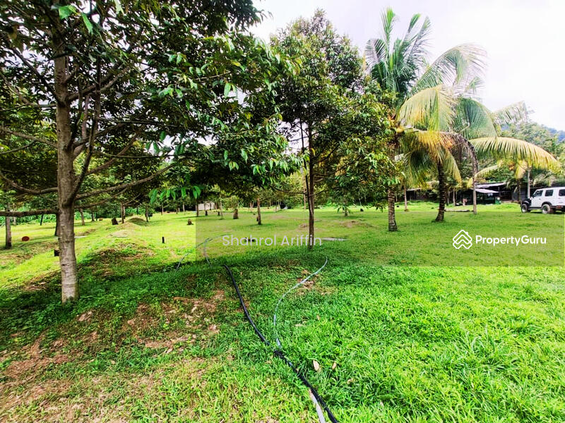 Kampung Gebok Mantin Nilai untuk Untuk Dijual - RM 890,000, Mac 2026 - PropertyGuru.com.my