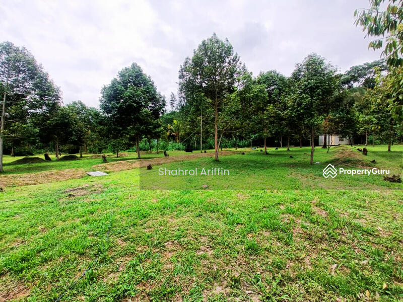 Kampung Gebok Mantin Nilai untuk Untuk Dijual - RM 890,000, Mac 2026 - PropertyGuru.com.my