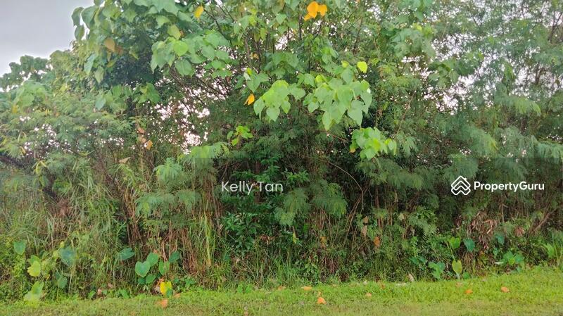 Tanah Kediaman untuk Dijual di Sri Klebang (Chemor) - Kelly Tan - PropertyGuru.com.my