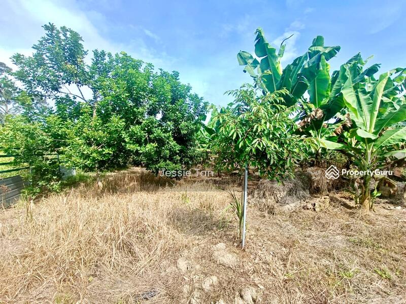 For Sale - Kukup Kukup Kukups