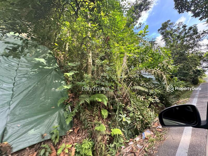 Untuk Dijual - Tanah Selayang Batu Caves Jalan Manggis