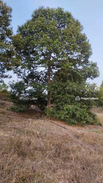 Agricultural Land for Sale in Simpang Pertang (Negeri Sembilan) - Bryan Liew - PropertyGuru.com.my