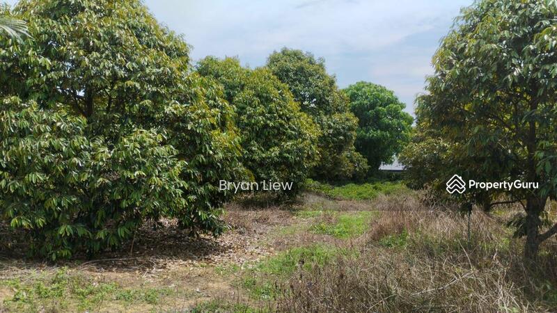 Agricultural Land for Sale in Simpang Pertang (Negeri Sembilan) - Bryan Liew - PropertyGuru.com.my