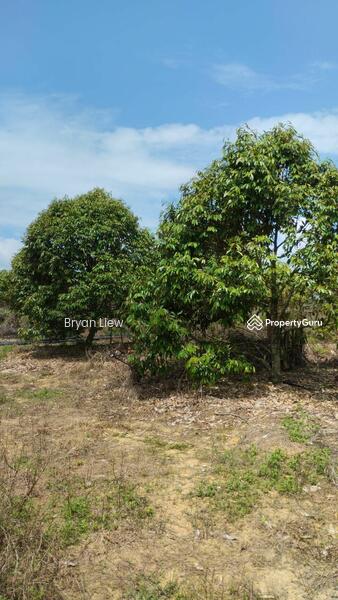 Agricultural Land for Sale in Simpang Pertang (Negeri Sembilan) - Bryan Liew - PropertyGuru.com.my