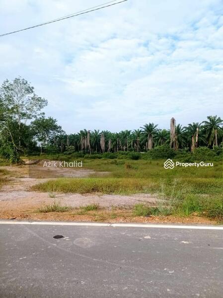 Untuk Dijual - Agriculture land at Kampung Parit Mahang
