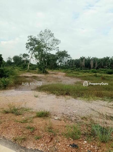 Untuk Dijual - Agriculture land at Kampung Parit Mahang