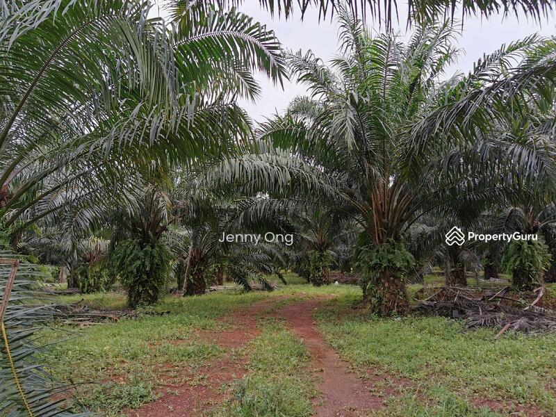 For Sale - Zoning Industry Land At Permatang Tinggi, Bukit Mertajam For Sale
