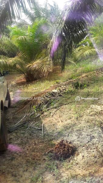 Jabi Segamat untuk Untuk Dijual - RM 95,000, Mac 2026 - PropertyGuru.com.my