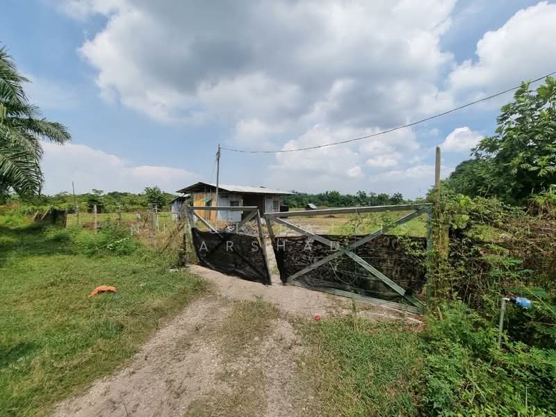 For Sale - (3.56 ekar) Freehold Agriculture Land