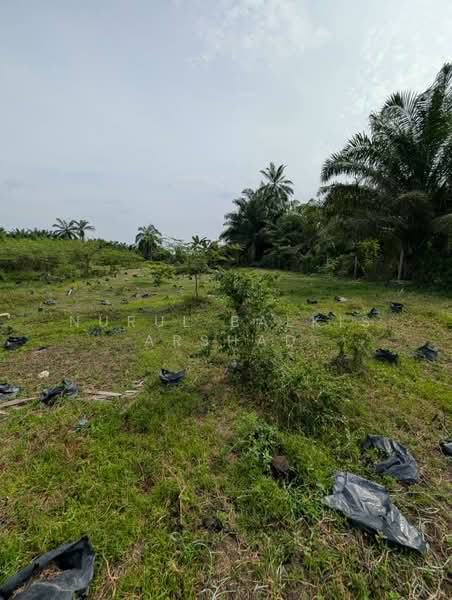 For Sale - (3.56 ekar) Freehold Agriculture Land