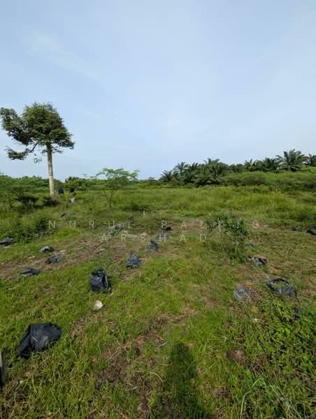 For Sale - (3.56 ekar) Freehold Agriculture Land