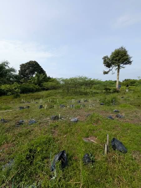 For Sale - (3.56 ekar) Freehold Agriculture Land