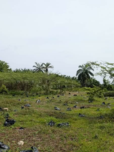 For Sale - (3.56 ekar) Freehold Agriculture Land