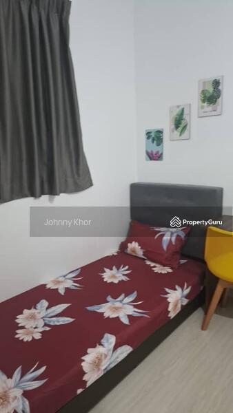 Untuk Disewa - The Hamilton