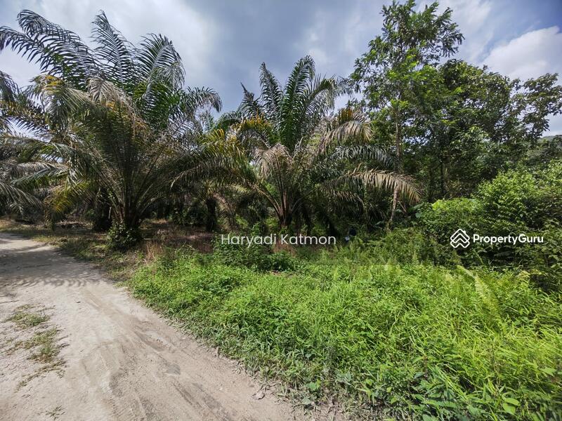 Untuk Dijual - Semenyih