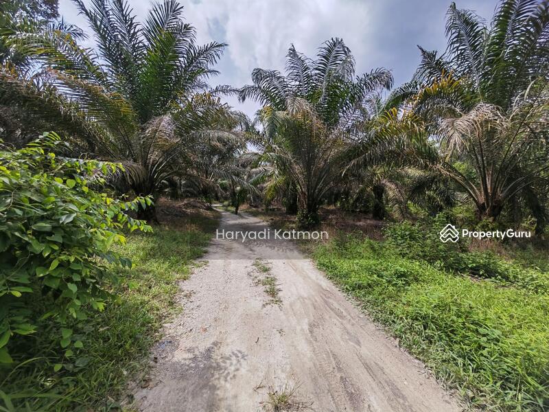 Untuk Dijual - Semenyih