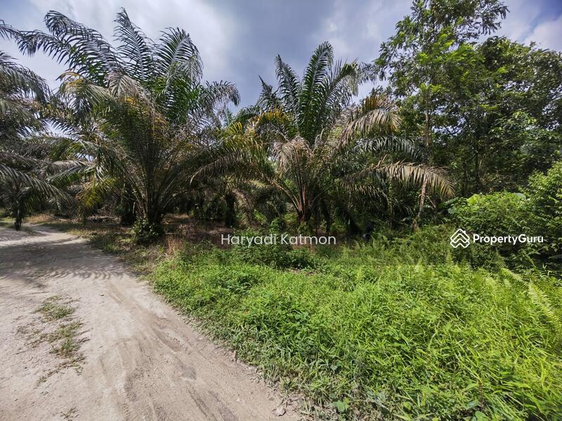Untuk Dijual - Semenyih