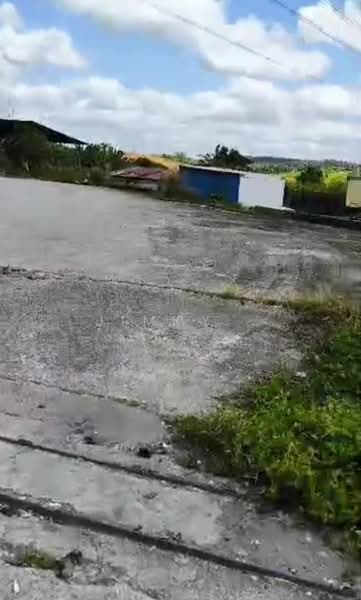 Warehouse for Sale in Kawasan Perindustrian Kelapa Sawit (Kulai) - Jimmy . - PropertyGuru.com.my