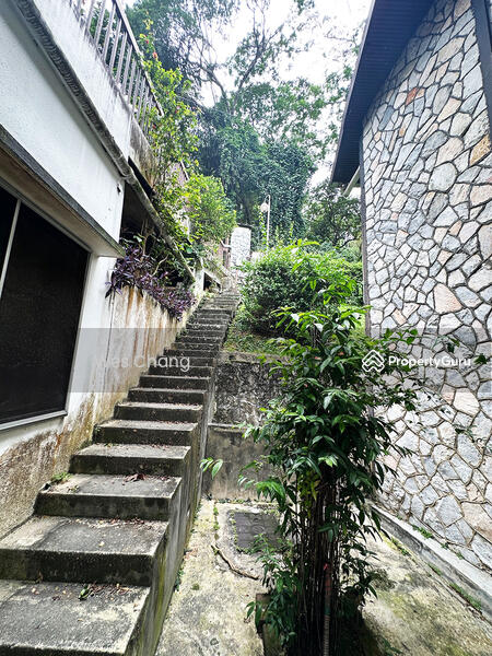 For Rent - Bukit Tunku