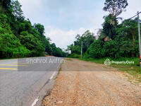 For Sale - Maran Pahang