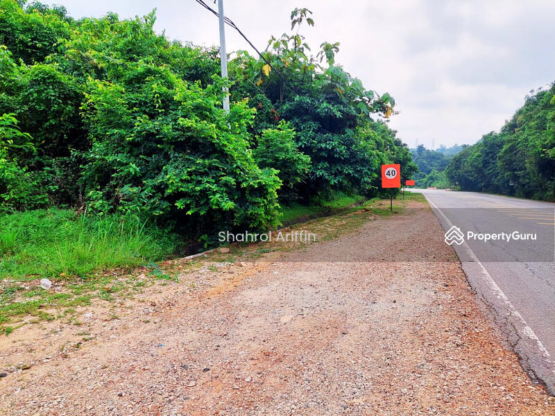 Agricultural Land for Sale in Kampung Serengkam (Maran) - Shahrol Ariffin - PropertyGuru.com.my