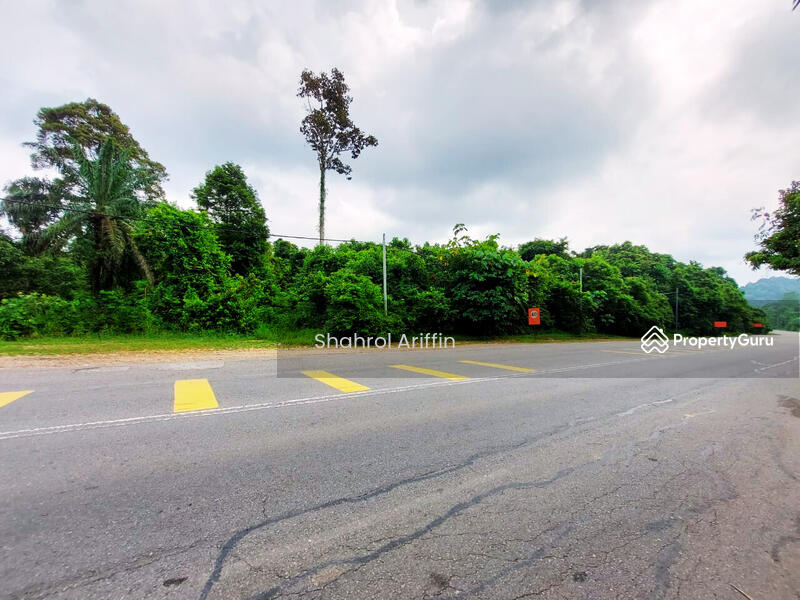 Agricultural Land for Sale in Kampung Serengkam (Maran) - Shahrol Ariffin - PropertyGuru.com.my