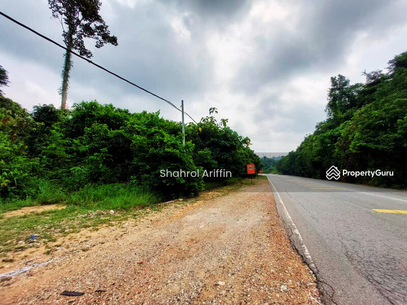 Agricultural Land for Sale in Kampung Serengkam (Maran) - Shahrol Ariffin - PropertyGuru.com.my
