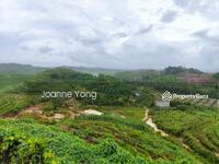 For Sale - 24 Acres Agricultural Land - Mersing, Johor, Taman Air Merah, Kota Tinggi, Jemaluang