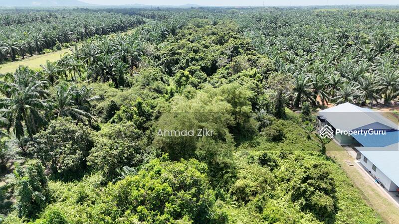 For Sale - [ Facing Jalan ] Tanah Ekar Untuk Dijual Peserai