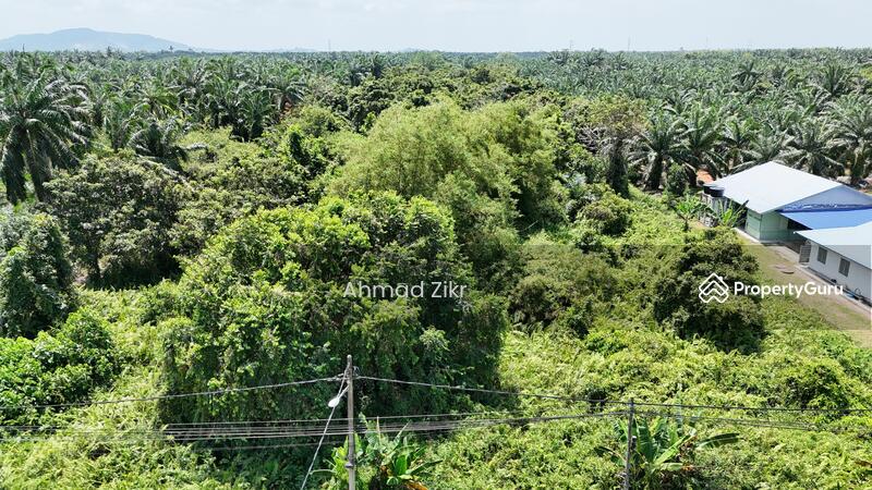 For Sale - [ Facing Jalan ] Tanah Ekar Untuk Dijual Peserai