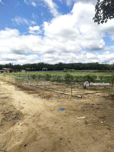 Agricultural Land for Sale in Taboh Naning (Melaka) - Shahrol Ariffin - PropertyGuru.com.my