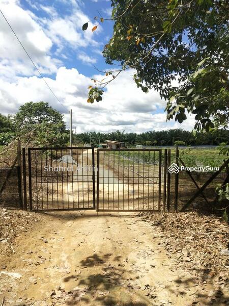 Agricultural Land for Sale in Taboh Naning (Melaka) - Shahrol Ariffin - PropertyGuru.com.my