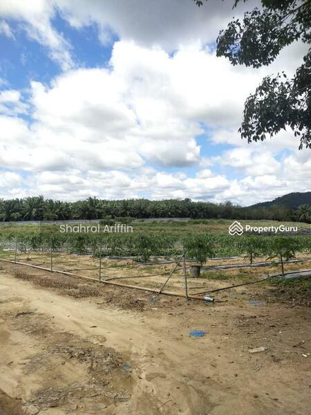 Agricultural Land for Sale in Taboh Naning (Melaka) - Shahrol Ariffin - PropertyGuru.com.my