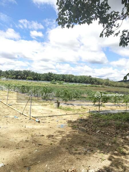 Agricultural Land for Sale in Taboh Naning (Melaka) - Shahrol Ariffin - PropertyGuru.com.my