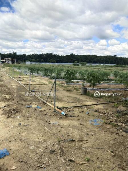 Agricultural Land for Sale in Taboh Naning (Melaka) - Shahrol Ariffin - PropertyGuru.com.my