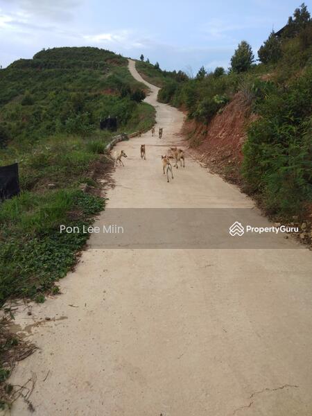 For Sale - Kuala Lipis