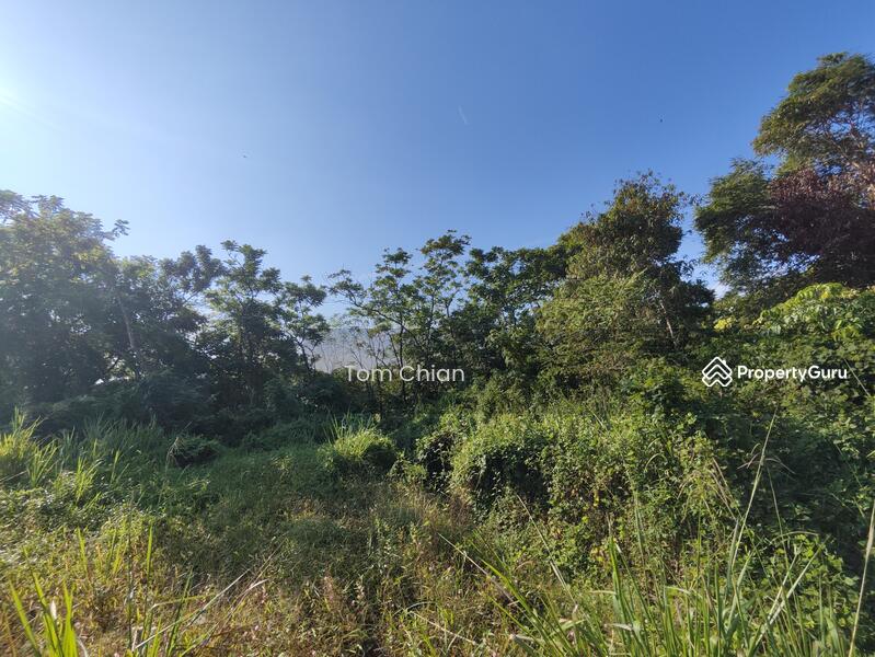 Industrial Land for Sale in Taman Desa Cemerlang (Ulu Tiram) - Tom Chian - PropertyGuru.com.my