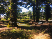 For Sale - Agriculture land at Pusing